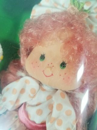 Very Rare Strawberry Shortcake Peach Blush Berrykin Doll Vintage Kenner 2