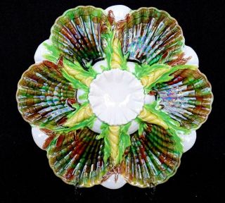 George Jones 3589 Antique Majolica Signed 6 Well 8 7/8 " Oyster Plate 1882 - 1908