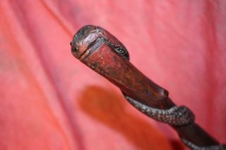 Outstanding Primitive Folk Art Hand Carved Snake Wrapped Cane W/glass Eyes