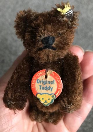 Steiff Miniature Bear 3.  5 " Vintage Rare Dark Brown Chest Tag /button Partial Tag