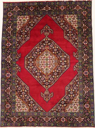 Vintage Classic Red 8x11 S Antique Persian Rug Oriental Home Décor Carpet