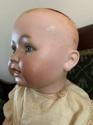 Huge Antique German Bisque George Borgfeldt Character Toddler Baby Doll 26 In. 10