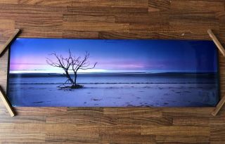 Rare Peter Lik Unframed In Tube " Solitude " Hand Signed Piece 150cm Size