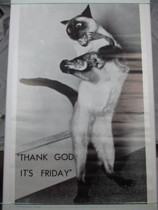 Vintage 1972 Cat Poster Thank God Its Friday Burg Press San Francisco Nos 23x35