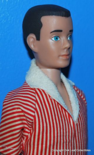 Painted Hair Brunette Ken doll WITH Attached Wrist Tag box 7