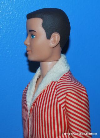 Painted Hair Brunette Ken doll WITH Attached Wrist Tag box 8