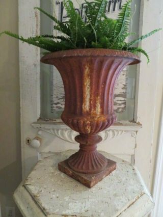 The Best Old Vintage Cast Iron Metal Garden Urn Shapely Chippy Rusty Patina