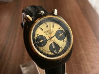 Vintage Citizen Bullhead Chronograph 23 Jewels Automatic Watch Great Cond