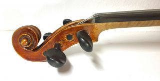 Antique Violin with E.  D.  Withers London label,  Case and Bows 3