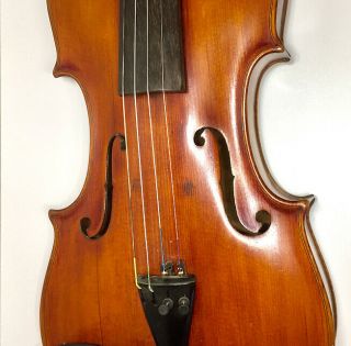 Antique Violin with E.  D.  Withers London label,  Case and Bows 5