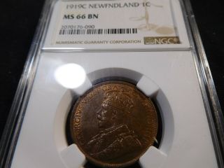 E27 Canada Newfoundland 1919 - C Large Cent Ngc Ms - 66 Brown Ex.  Rare This Grade