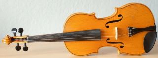 old violin 4/4 geige viola cello fiddle label JANUARIUS GAGLIANO 2
