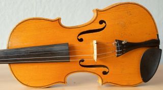 old violin 4/4 geige viola cello fiddle label JANUARIUS GAGLIANO 3