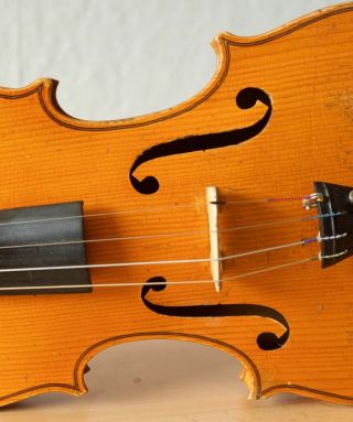 old violin 4/4 geige viola cello fiddle label JANUARIUS GAGLIANO 5