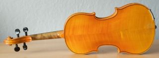 old violin 4/4 geige viola cello fiddle label JANUARIUS GAGLIANO 7