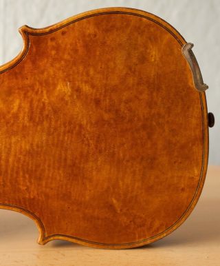 old violin 4/4 geige viola cello fiddle label JOANNES BAPTISTA GUADAGNINI 10