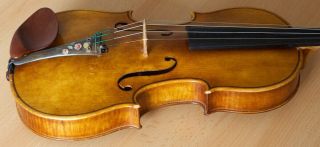 old violin 4/4 geige viola cello fiddle label JOANNES BAPTISTA GUADAGNINI 11