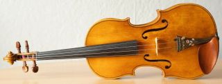old violin 4/4 geige viola cello fiddle label JOANNES BAPTISTA GUADAGNINI 2