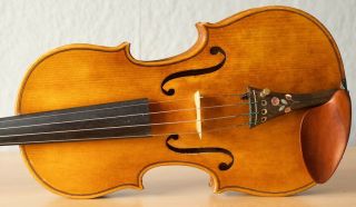 old violin 4/4 geige viola cello fiddle label JOANNES BAPTISTA GUADAGNINI 3