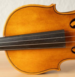 old violin 4/4 geige viola cello fiddle label JOANNES BAPTISTA GUADAGNINI 4