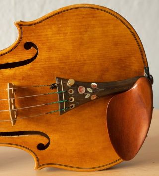 old violin 4/4 geige viola cello fiddle label JOANNES BAPTISTA GUADAGNINI 6