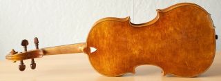 old violin 4/4 geige viola cello fiddle label JOANNES BAPTISTA GUADAGNINI 7