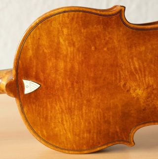 old violin 4/4 geige viola cello fiddle label JOANNES BAPTISTA GUADAGNINI 8