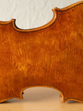 old violin 4/4 geige viola cello fiddle label JOANNES BAPTISTA GUADAGNINI 9