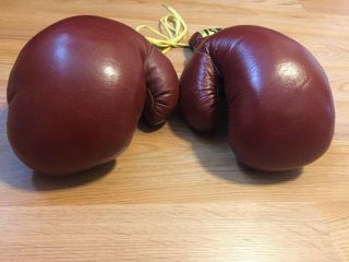 Everlast Vintage Leather 14 Ounce Boxing Fight Gloves 3