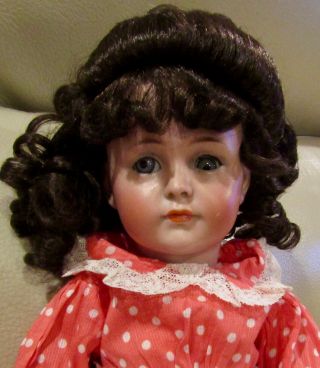 Antique 14 " German Bisque Kammer Reinhardt Closed Mouth Mein Liebling Doll
