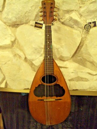 Usa Vintage Gretsch /rex Professional Mandolin,  Brazilian Rosewood,  100 Years Old
