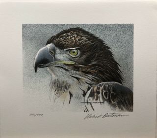 Robert Bateman Lithograph Bald Eagle Rare Signed And Numbered