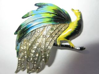 Vintage Boucher Coro Rhinestone Enamel Peacock Bird Of Paradise Huge Brooch Pin