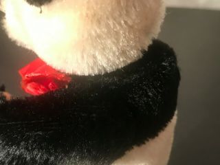 1950 ' s US Zone Germany Schuco Tricky Panda Bear Yes / No Teddy Toy with Tag 10