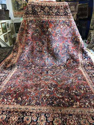 Auth: 30 ' s Antique Rug Exceptional Botanical Traditional Beauty Red 9x12 NR 5