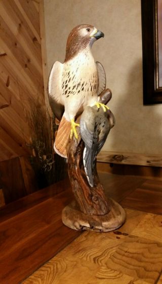 Red - Tailed Hawk Wood Carving Mourning Dove Carving Duck Decoy Casey Edwards