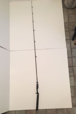 Vintage Phenix Boron/graphite Casting Fishing Rod