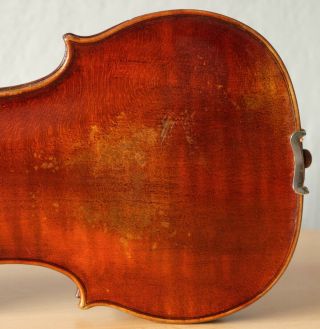 old violin 4/4 geige viola cello fiddle label DAVID TECCHLER 10