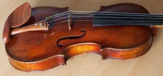 old violin 4/4 geige viola cello fiddle label DAVID TECCHLER 12