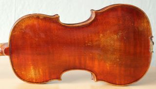 Old Violin 4/4 Geige Viola Cello Fiddle Label David Tecchler