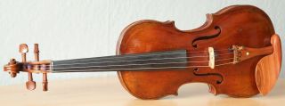 old violin 4/4 geige viola cello fiddle label DAVID TECCHLER 2