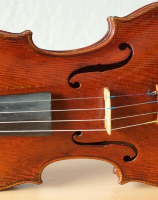 old violin 4/4 geige viola cello fiddle label DAVID TECCHLER 5