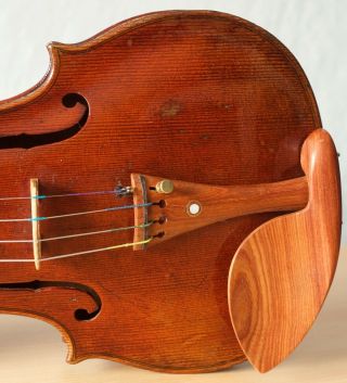 old violin 4/4 geige viola cello fiddle label DAVID TECCHLER 6