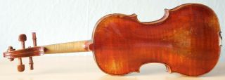 old violin 4/4 geige viola cello fiddle label DAVID TECCHLER 7