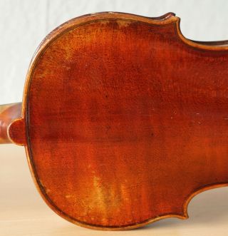 old violin 4/4 geige viola cello fiddle label DAVID TECCHLER 8
