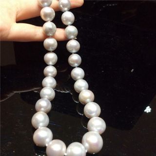 Rare Huge 13 - 15mm Nature South Sea Gray Round Pearl Necklace 18inch 925silver