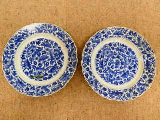Antique Unusual Chinese Blue & White Signed Hand Painted Plates X 2