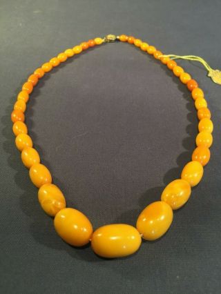 Vintage Amber Guild Necklace,  19 " Egg Yolk Graduated Bead 