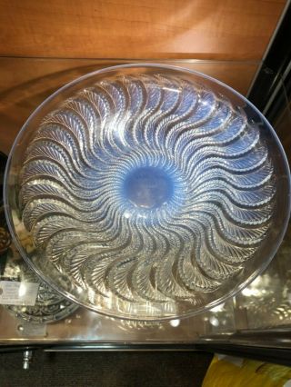 A Rare Rene Lalique " Actinia " Pattern Opalescent Glass Bowl Model 10 - 391 In 1933