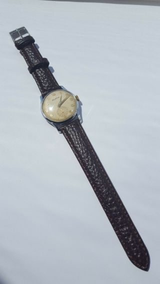 Vintage 1950s Mens Helvetia Dress Style Watch Serviced Cal.  82C 7